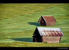 zwei auf der alm.jpg